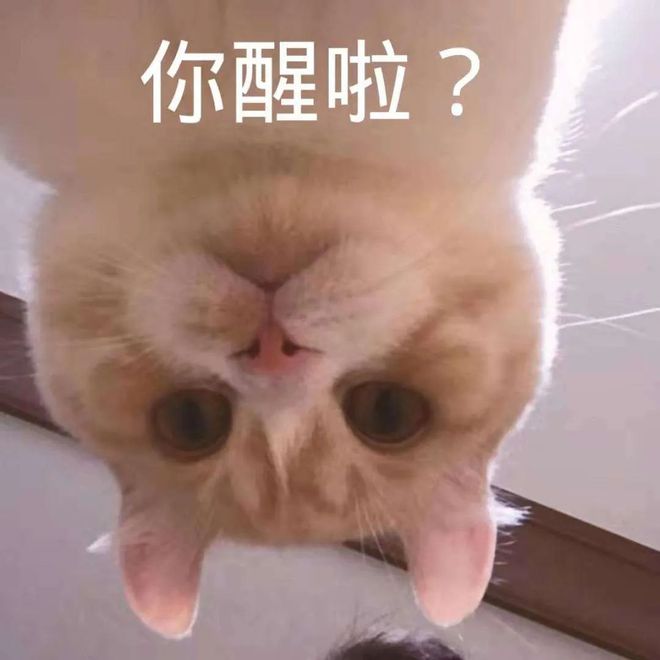 PG平台-包含猛龙连败成最大笑柄,内部困境待解成最大挑战的词条